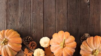 autumn pumpkins pinecones